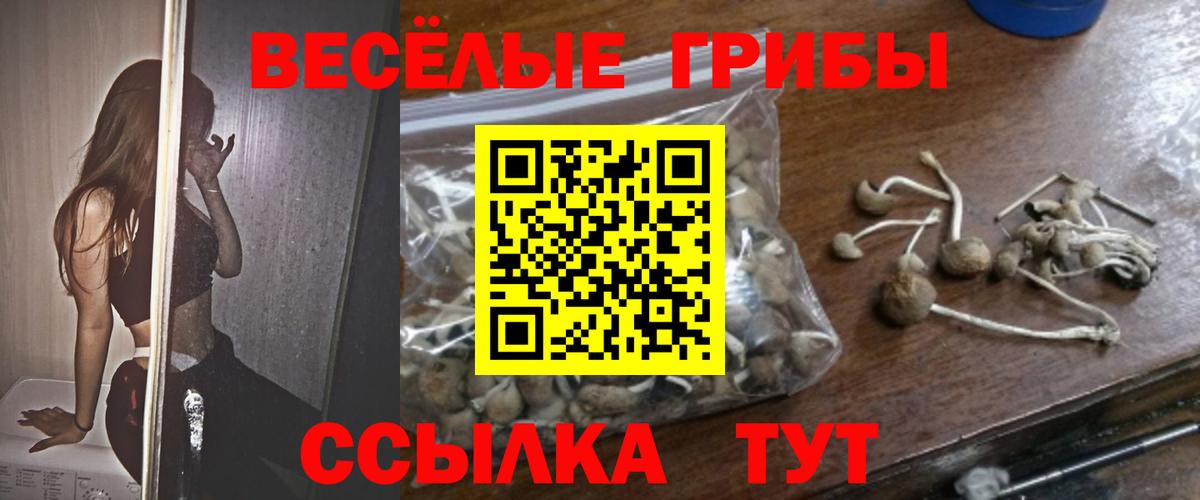Псилоцибиновые грибы Magic Shrooms Учалы